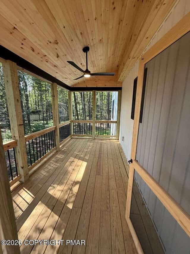 More photos