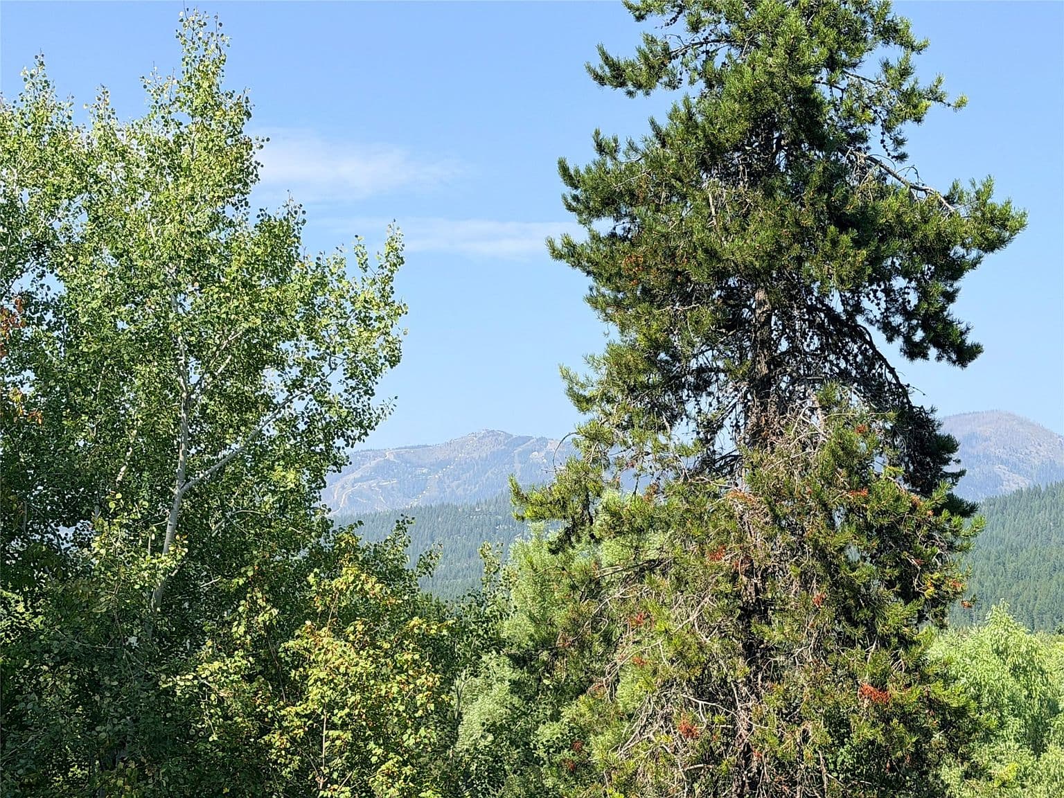 972 Colorado Ave - Image 3