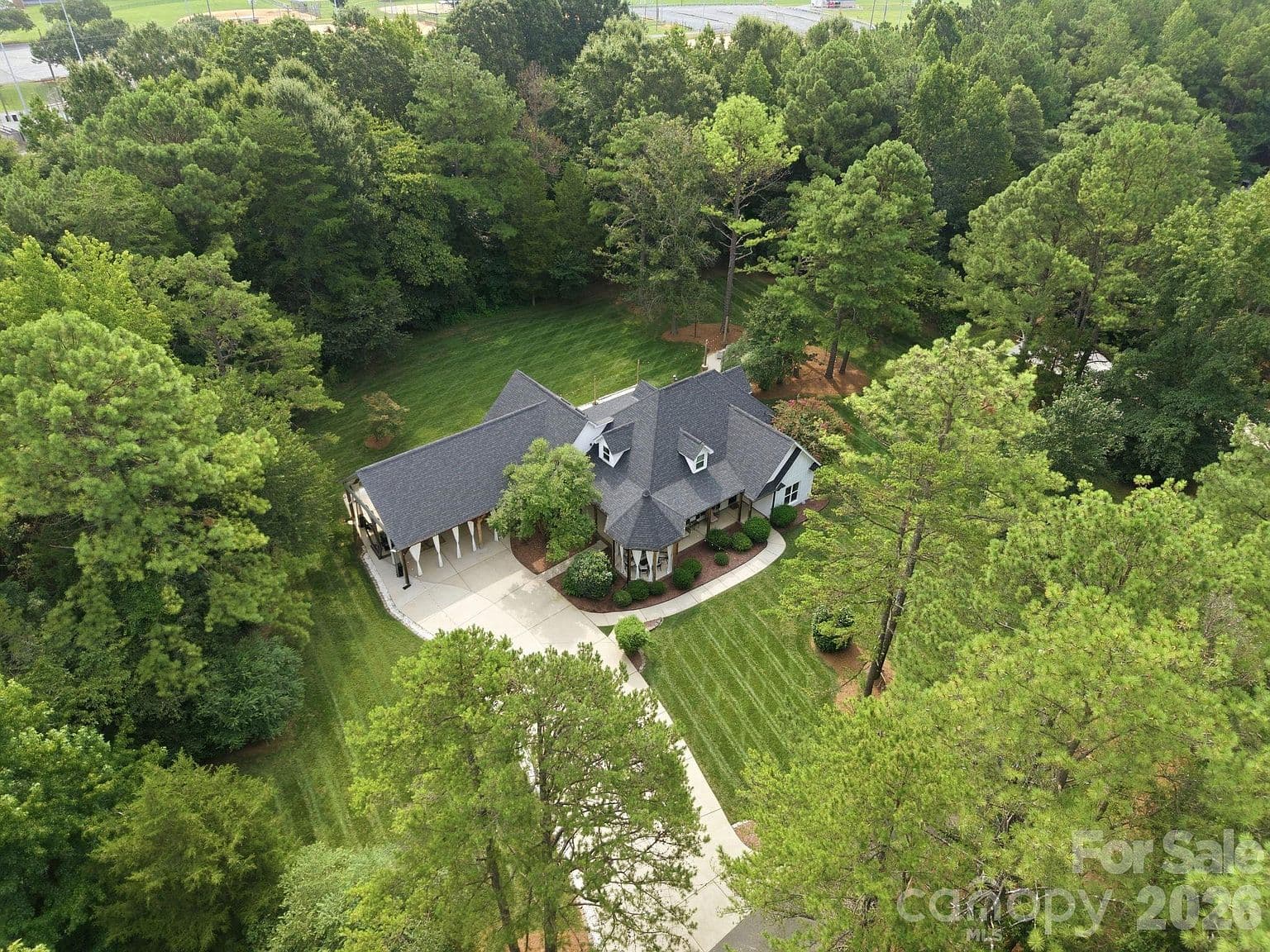 More photos