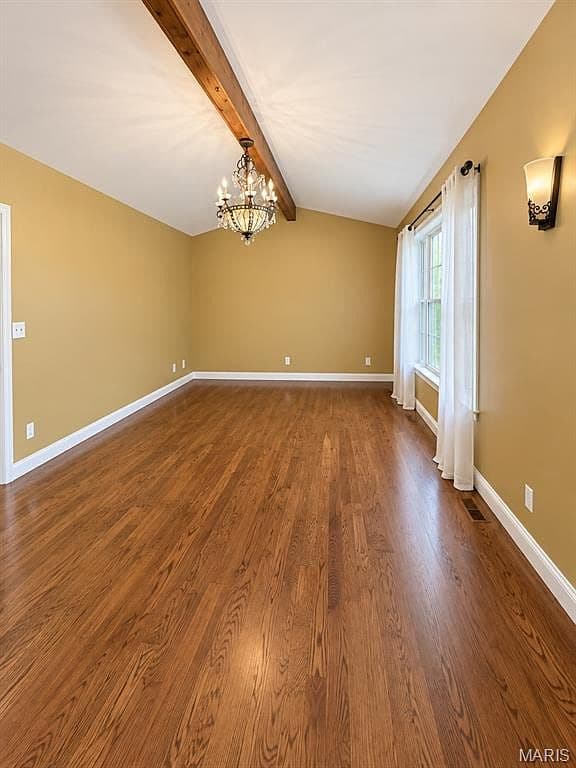More photos