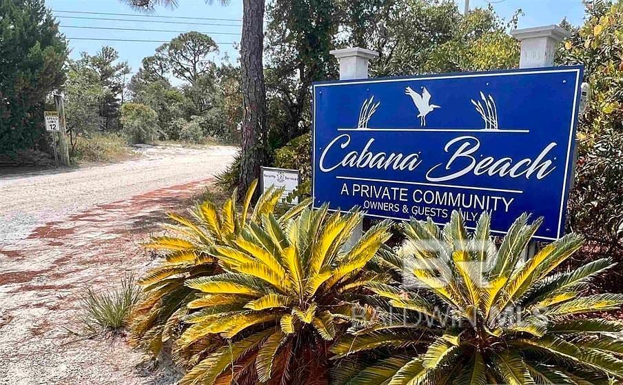 More photos