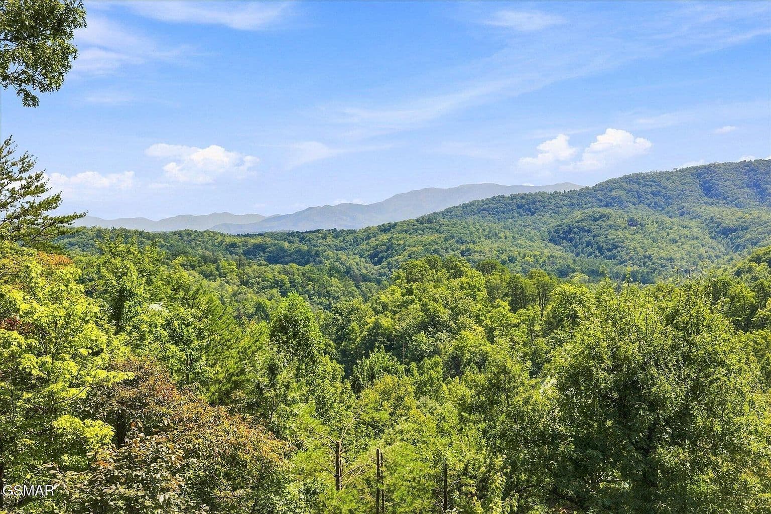 4626 Nottingham Heights Way - Image 3