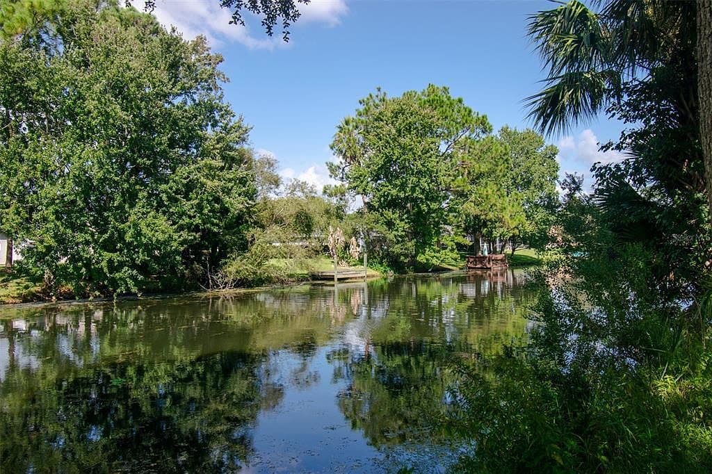 225 Birchwood Drive